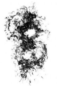 the GazettE TOUR 2007-2008 STACKED RUBBISH GRAND FINALE [REPEATED COUNTLESS ERROR] IN 国立代々木競技場第一体育館 [通常版]